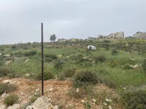 ارض للبيع في المزرعة الغربية - دونم