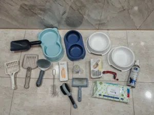 مجموعة من أكسسوارات القطط A collection of cat accessories