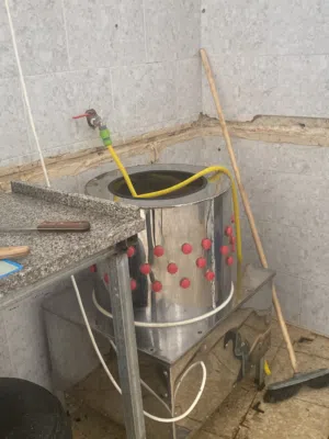 محل دواجن للبيع بكامل معداتو بسعر مناسب