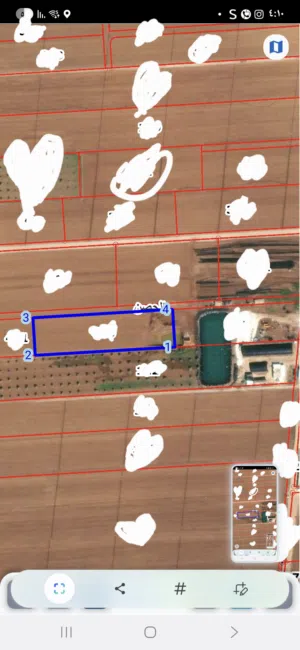 Farm Land for Sale in Irbid Al Husn