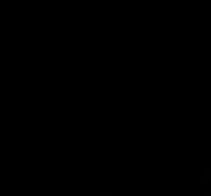 فارس 