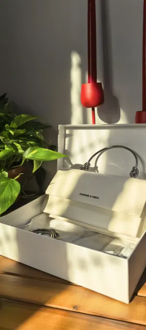 Hand bag from Charles & Keith (brand new)