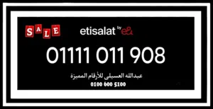 ارقام اتصالات مميزة لرجال الاعمال ومحبين الشياكه والفخامه