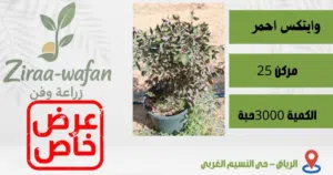 مجموعة من شربسات  المطلوبه بالمشاريع