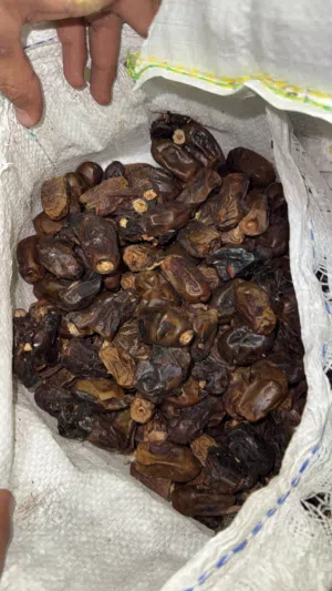 سح نفيعة للبيع