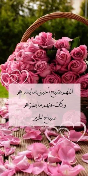 عندي صوصان دجاج فيومي العمر 40 يوم
