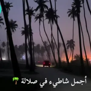 ابو حمد 