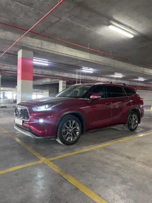 HIGHLANDER LIMITED بحالة الوكالة
