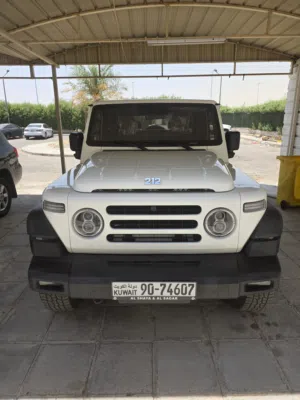 جيب صيني 212