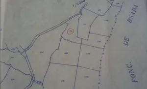 Mixed Use . 2250 m2 . Landlord3