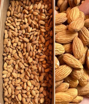 شركة قمة البارون المتطور