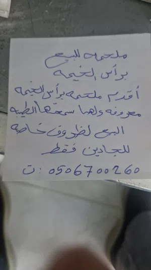 ملحمة في راس الخيمه
