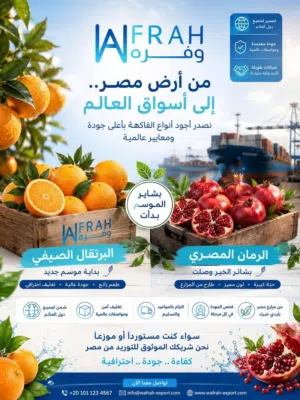 البرتقال & رمان مصري