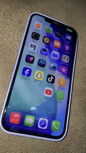 iphone12 bro max