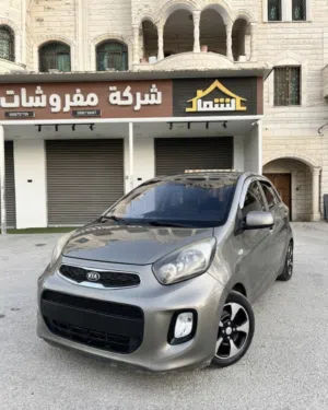 Used Kia Picanto in Jenin