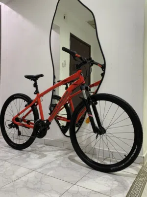 ROCK RIDER ST100
