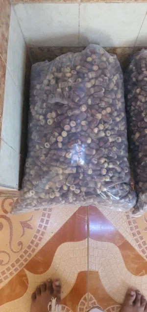 تمر نغال جريجرو