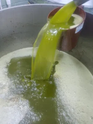 زيت زيتون بلدي بعل رومي مضمون ومكفول لاخر قطره بتنكه ويوجد زيت تونسي