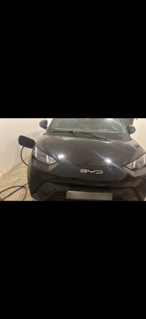 Byd seagull 2023