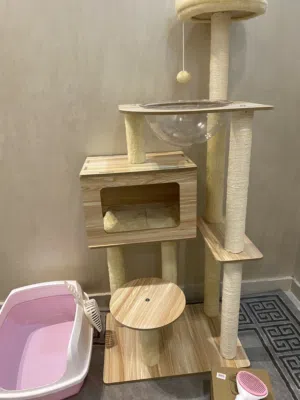 اغراض واحتياجات القطط