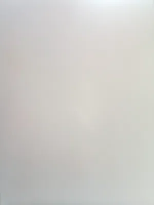 كوكتيل للبدل بفروخ روز