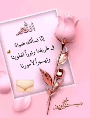 محاسن محمداحمدعبدالله 