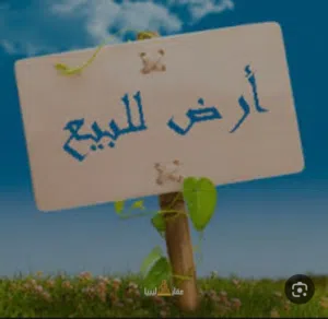 قطعة ارض للبيع في سوق الجمعة عرادة