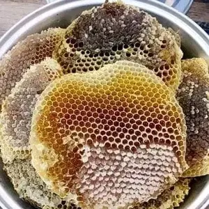 العسل املوا زيت الزيتون