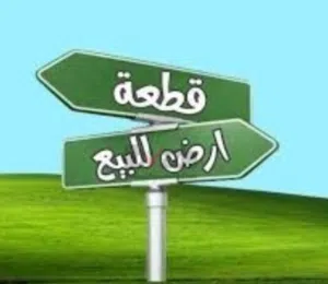 ارض فى الحليس