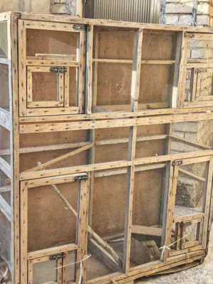 قفص 2 متر مع بيوت طيور للبيع