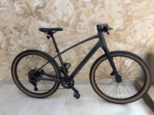 Trek Dual Sport 2 Gen 5