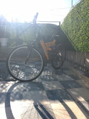 بسكليت غيارات