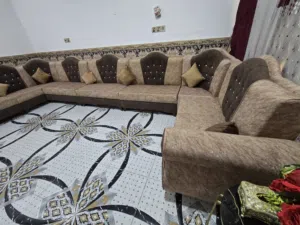 تخم قنفات العدد 10 قطع