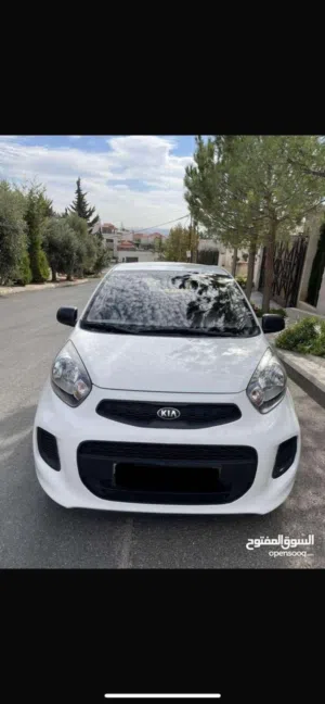 Used Kia Morning in Salt