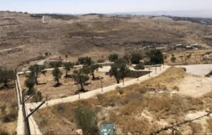 Mixed Use Land for Sale in Salt Al Maghareeb