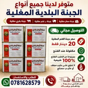 جبنة غنم مغلية