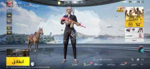 حساب ببجي للبيع رخيص الوصف