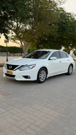 Used Nissan Altima in Muscat
