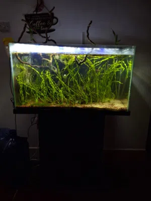 AQUARIUM with all accessories (130 Litres)