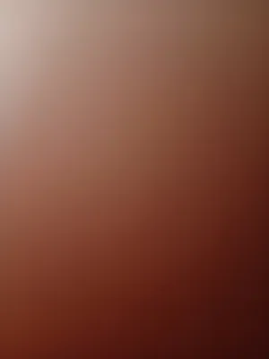 Windows Custom-built  Computers  for sale  in Nablus