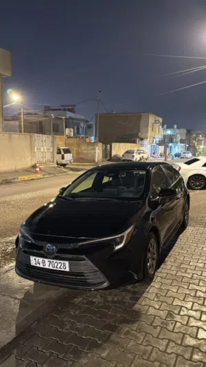 كورلا وارد امريكي هايبرد منشأ ياباني وليس صين رقم بصره