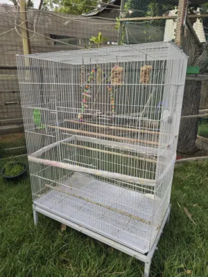 Big cage sale