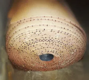 لفة بساط بن وليد