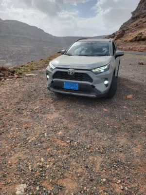 راف فور 2020