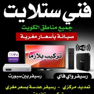 فني ستلايت