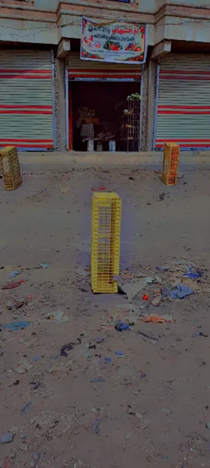 محل دجاج وخضار  للبيع  مسلخ دجاج متكامل للبيع