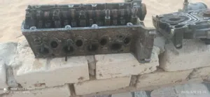 تستاته بوبه زيت