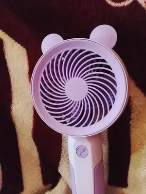 Fans . Used2