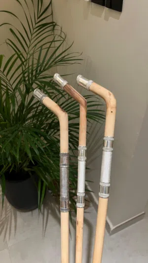 عصي العتم العُماني  ( تابع الوصف )