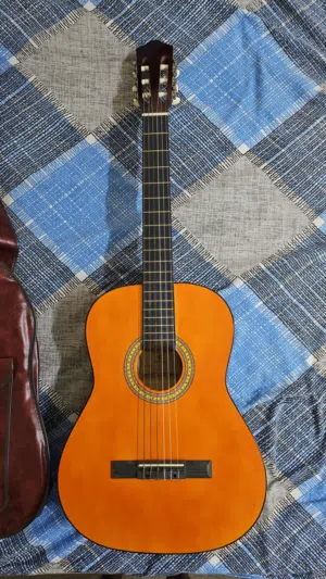 BRAND NEW GRAPE BRAND GUITAR. UNTOUCHED AND NON REPAIRED. With bag avaliable.